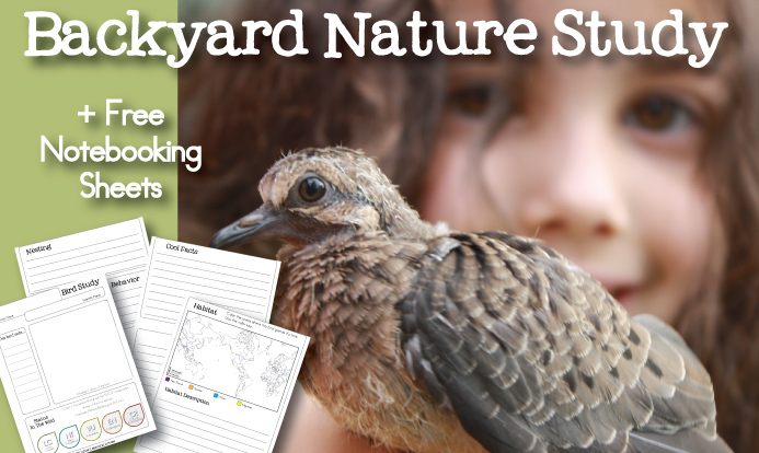 FREE Bird Nature Study