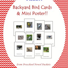 FREE Backyard Birds Cards & Mini-Poster