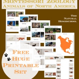 FREE North America Animals Printable Set