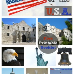 FREE USA Guide