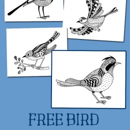 FREE Bird Coloring Pages