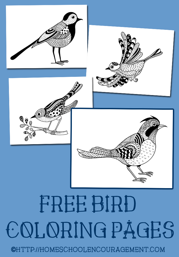 FREE Bird Coloring Pages