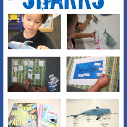 FREE Shark Pack