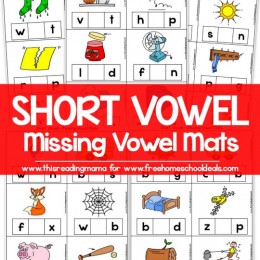 FREE SHORT VOWEL MISSING VOWEL MATS (instant download)