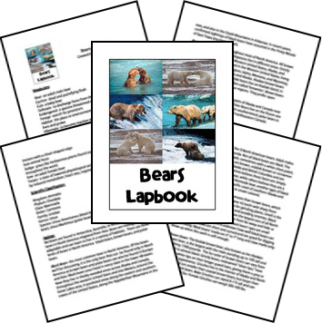 FREE Bears Lapbook