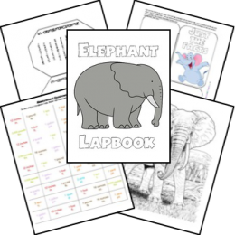 FREE Elephant Lapbook