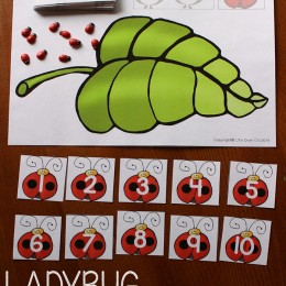 FREE Ladybug Math