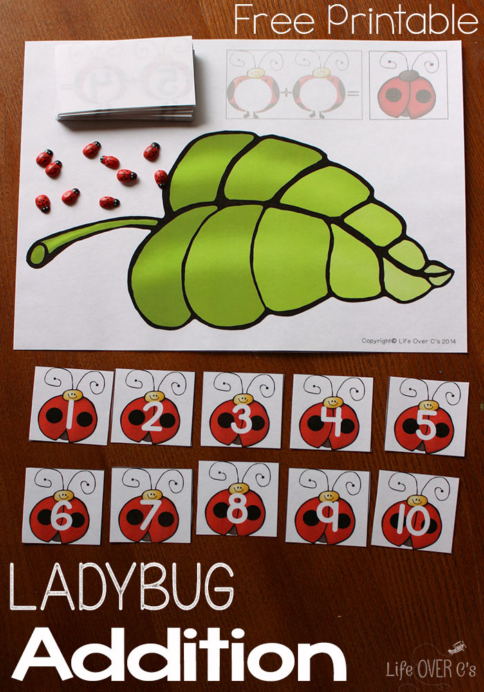 FREE Ladybug Math