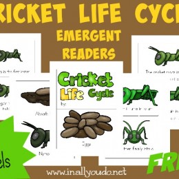 FREE Cricket Life Cycle Emergent Readers