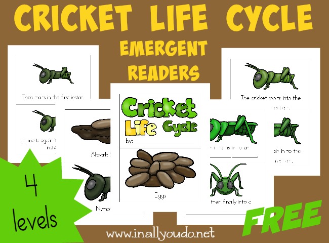 FREE Cricket Life Cycle Emergent Readers