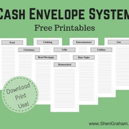 FREE Cash Envelope System