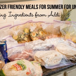 12 Freezer Friendly Summer Meals from Aldi Under $70!