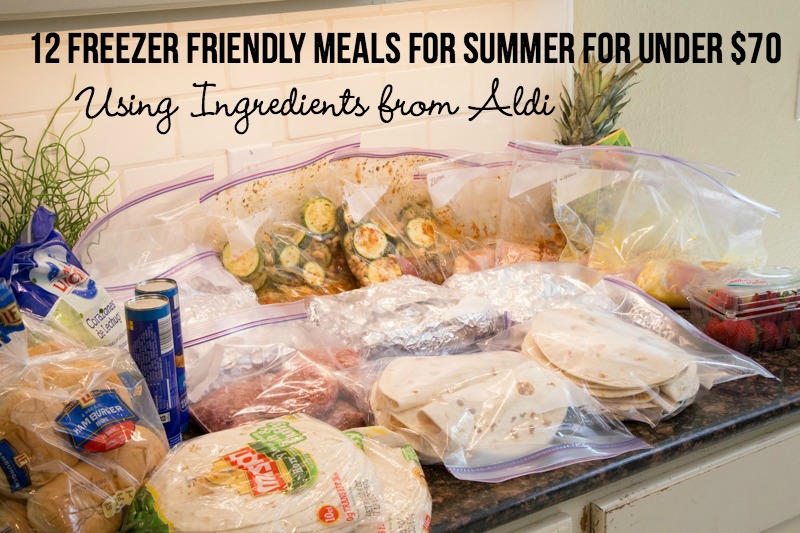 12 Freezer Friendly Summer Meals from Aldi Under $70!