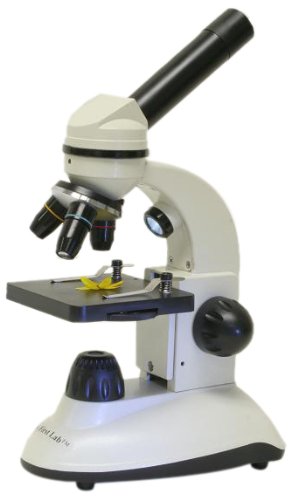 My First Lab Duo-Scope Microscope Only $65.60 (Reg. $80!)