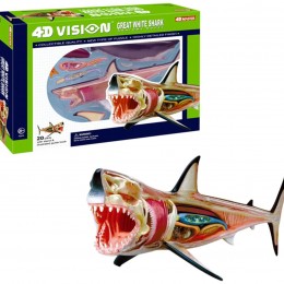 4D Vision Great White Shark Anatomy Model Only $15.18! (Reg. $25.99!)