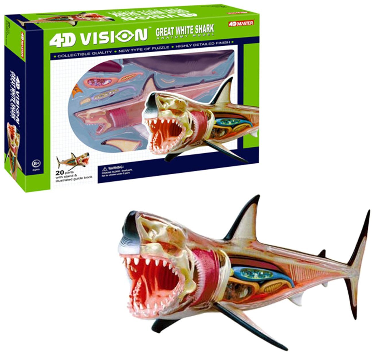 4D Vision Great White Shark Anatomy Model Only $15.18! (Reg. $25.99!)