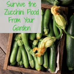 Ways to Use Zucchini