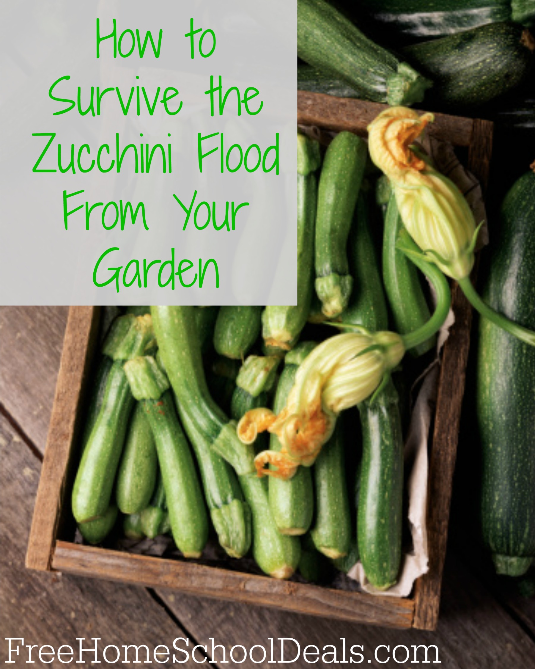 Ways to Use Zucchini