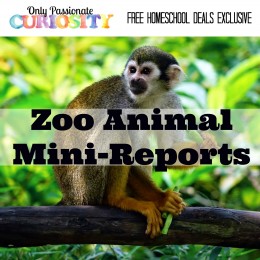 FREE ZOO ANIMAL MINI-REPORTS (Instant Download)