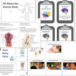 FREE Living Things Lapbooks