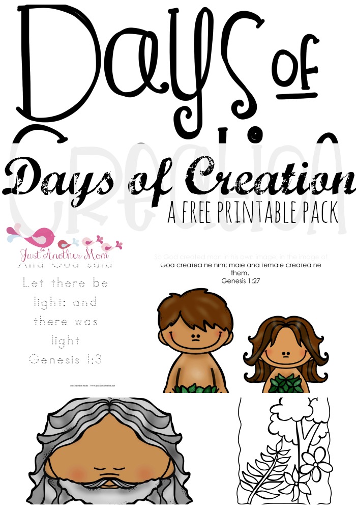 Creation Story for Toddlers