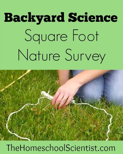 Backyard Science