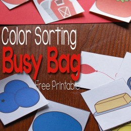 FREE Color Sorting Bags