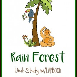 cFREE Rain Forest Lapbook
