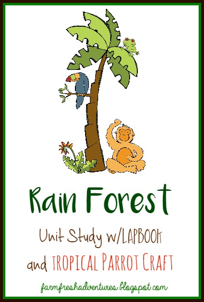 cFREE Rain Forest Lapbook