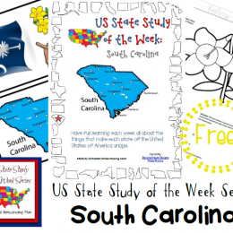 FREE South Carolina State Study