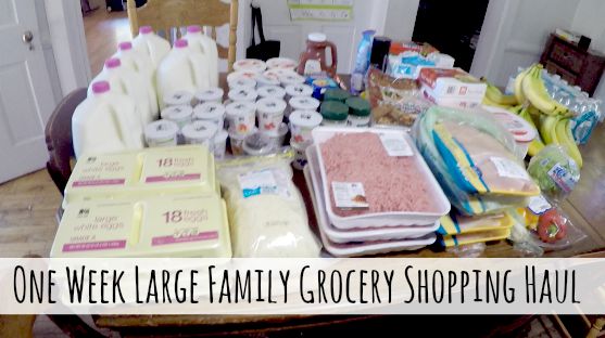 One Week Grocery Shopping Haul for Our Large Family