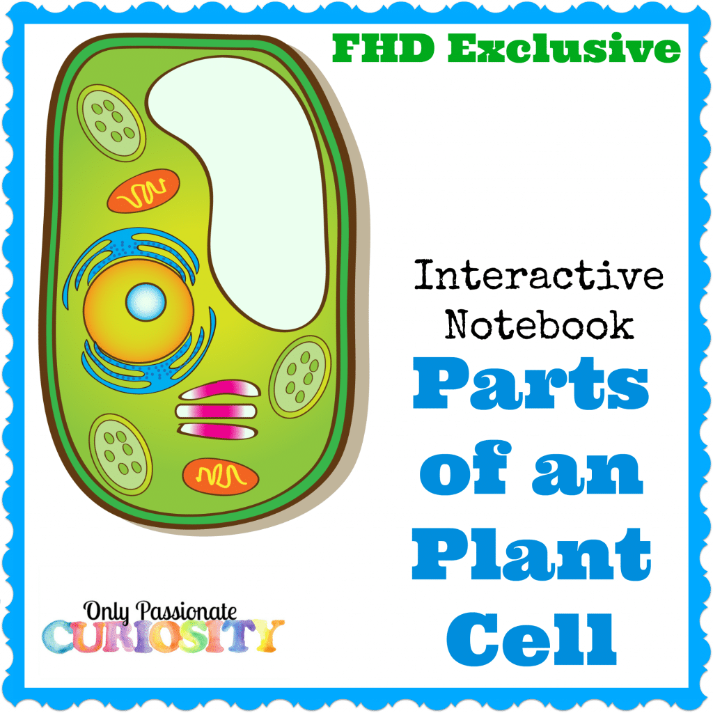 Plant Cells