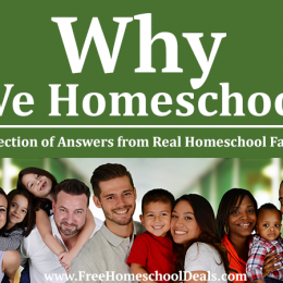 Why Families Homeschool