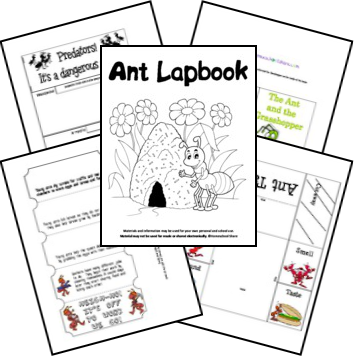 FREE Ant Lapbook