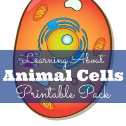 FREE Animal Cells Printable Pack