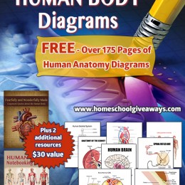 FREE Human Body Printables