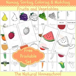 FREE Fruit printable