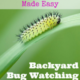 FREE Backyard Bug Watching