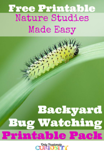 FREE Backyard Bug Watching