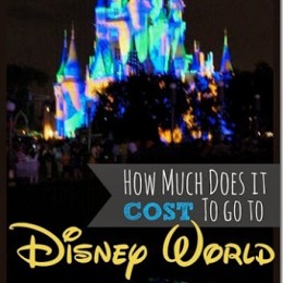 Cost for Disney