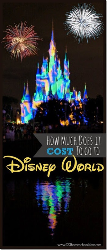 Cost for Disney