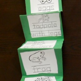 FREE Frog Printables