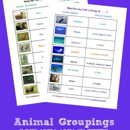 FREE Science Printables