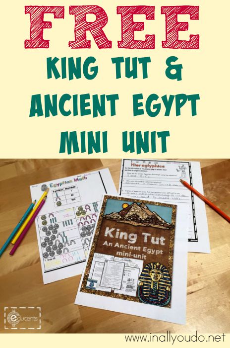 FREE Egypt Study