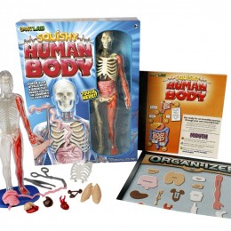 SmartLab Squishy Human Body Model Only $16.79! (Reg. $28!)