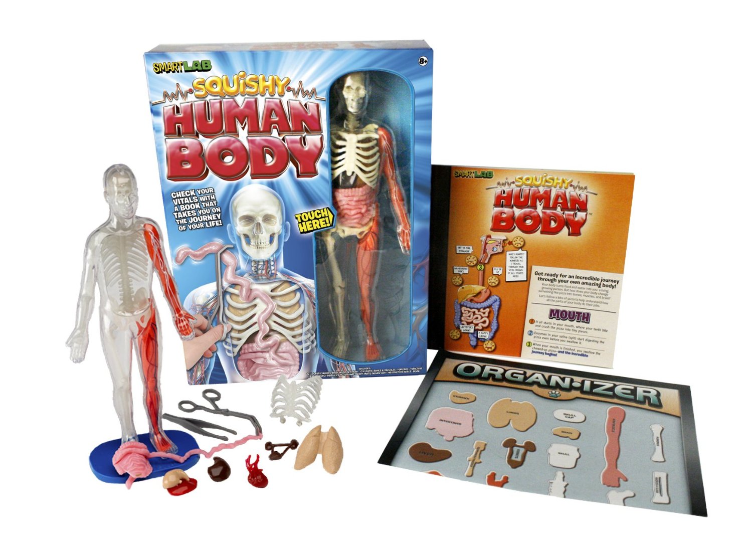 SmartLab Squishy Human Body Model Only $16.79! (Reg. $28!)