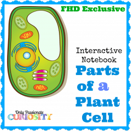 FREE PLANT CELL INTERACTIVE NOTEBOOK (Instant Download)