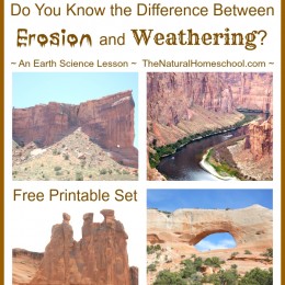 FREE Weather and Erosion Printables