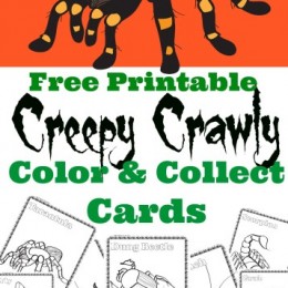 FREE Bug Cards
