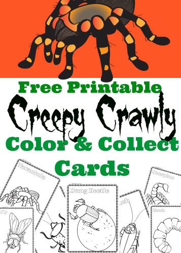 FREE Bug Cards